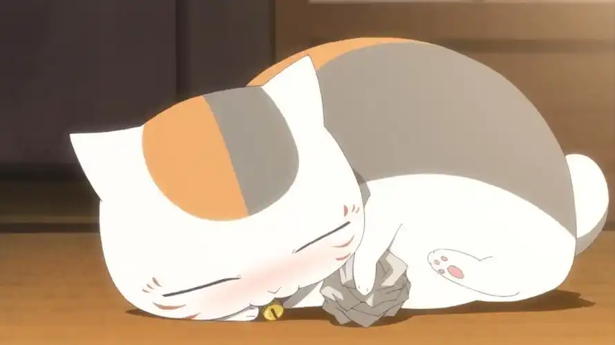 求这张猫咪老师的手机壁纸240x320的