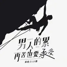 男人的累再苦也要承受dj小鹏版