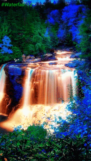 动态山水(76)★花开瞬间(24)100