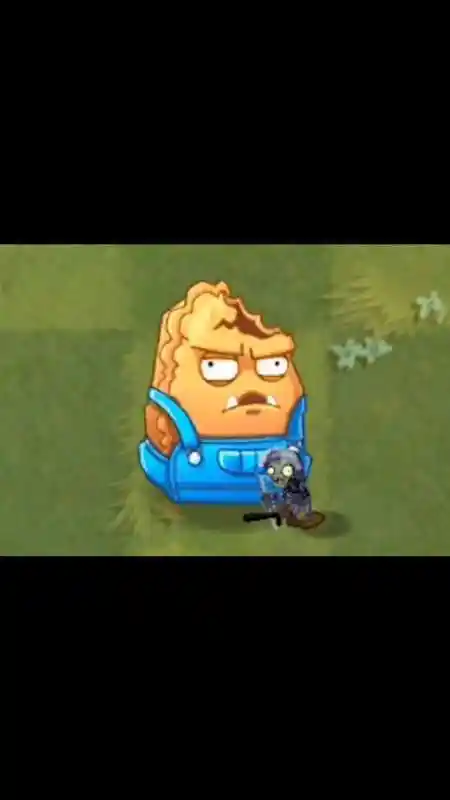 植物大战僵尸2坚果类植物解析