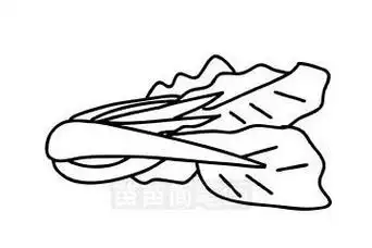 白菜怎么画简笔画萝卜白菜怎么画简笔画