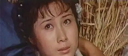 1984年,丁岚在《少林小子》中饰女主角二凤.