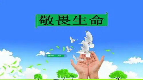 中小学《道德与法治》公开课优秀课件------《敬畏生命》