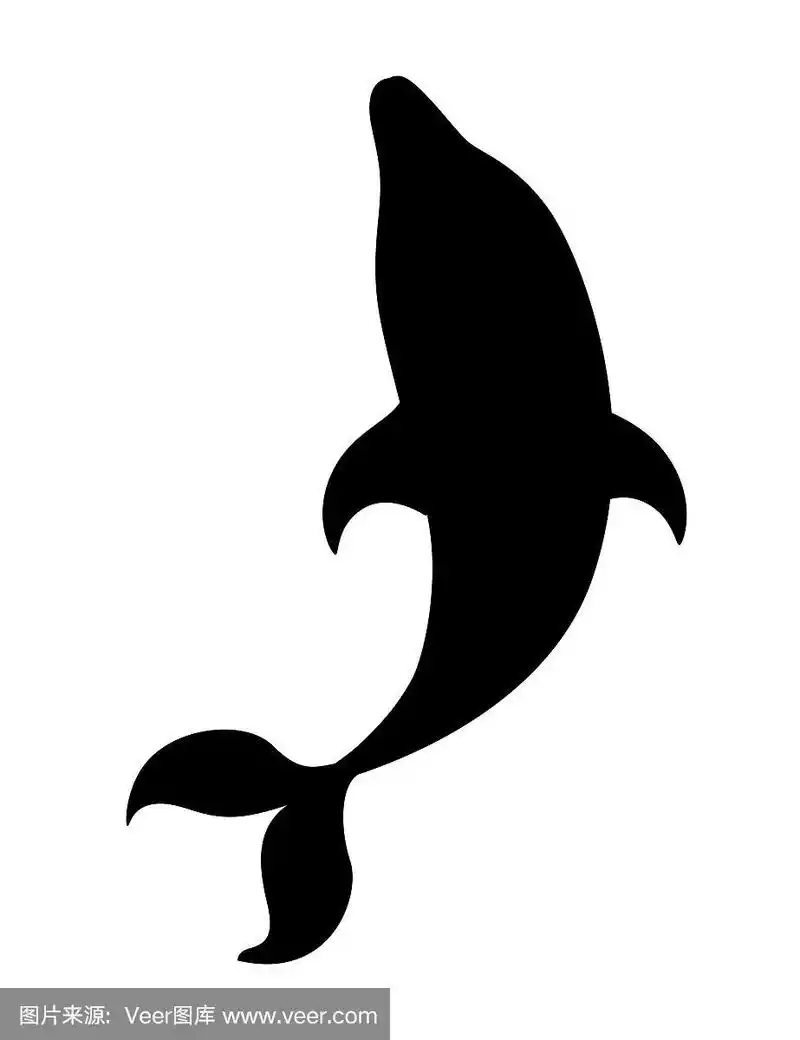 黑色剪影海豚卡通海洋动物设计平面矢量插图孤立在白色的背景