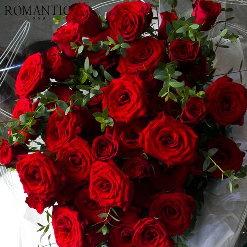 all love 原创唯美精品52红玫瑰自然风花束 北京爱情鲜花同城专送