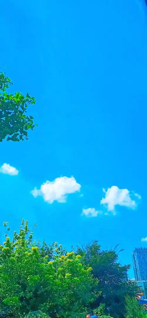 明亮的天空会微笑的云朵天气真好