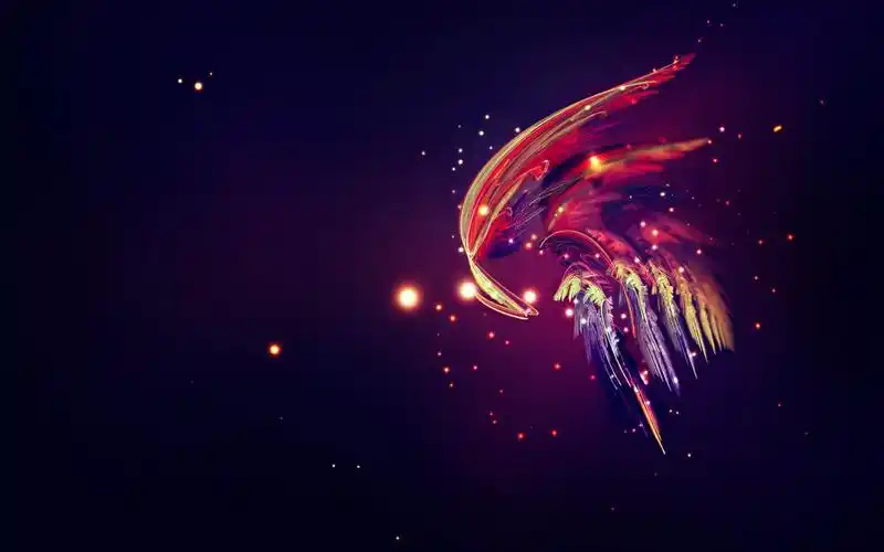 其它,抽象,炫彩,梦幻羽毛壁纸