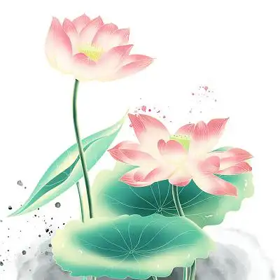 手绘古风国潮粉色荷花莲花莲叶莲花插画元素