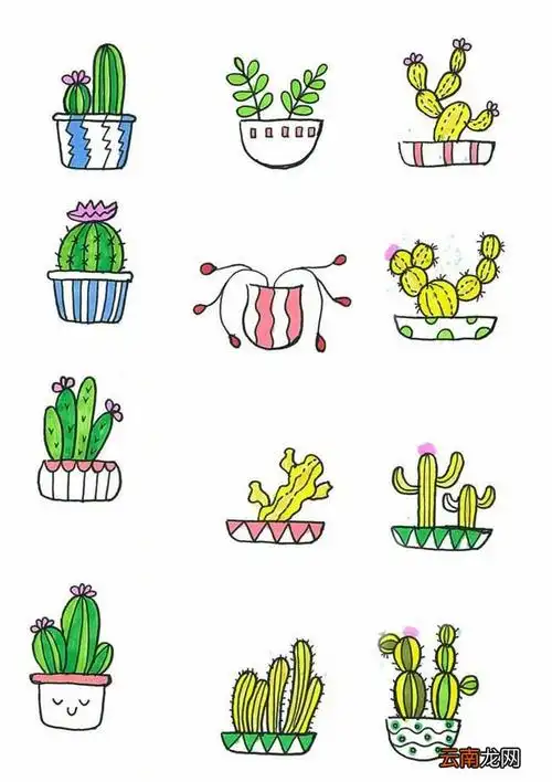 盆栽 72款彩色手绘可爱盆栽植物简笔画