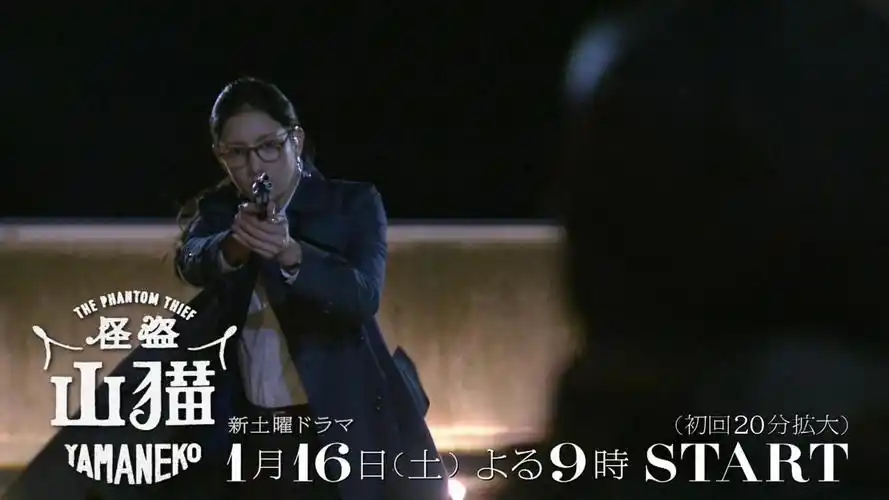 《怪盗山猫》剧照高清壁纸图片下载