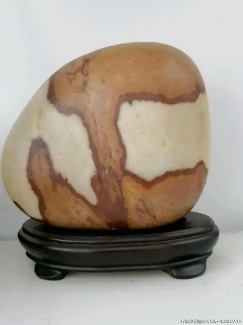 长岛球石大树底下好乘凉