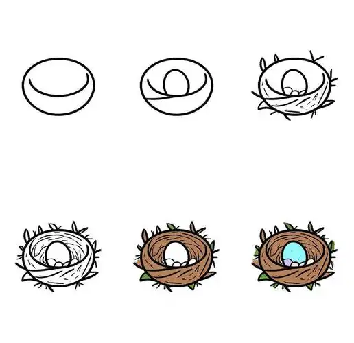 🐦鸟窝简笔画🎨