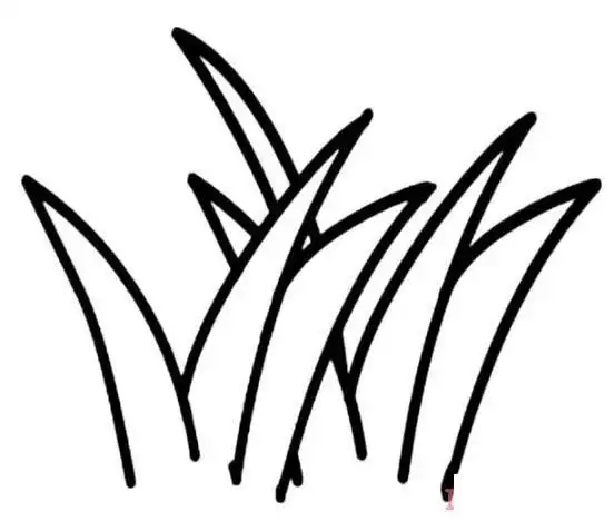 小草简笔画怎么画简单又好看图解