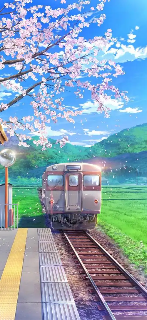 有没有那种4k画质的超高清壁纸