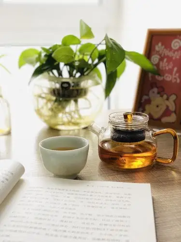 风闻有你 生活之趣 - 简书