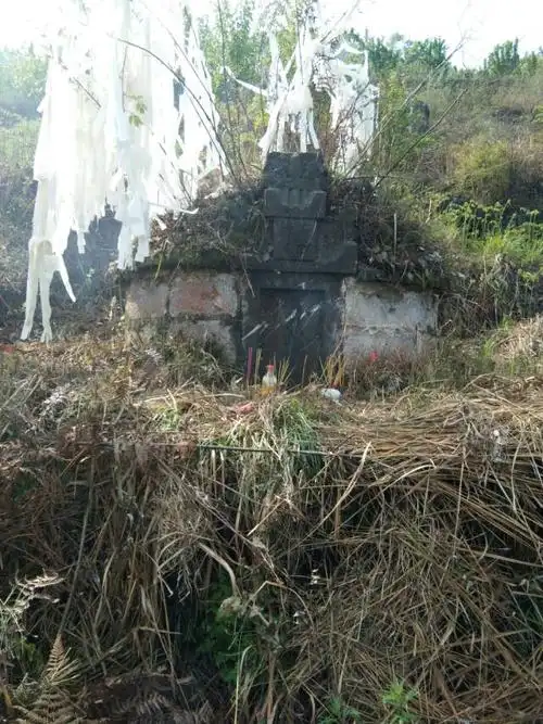 海马村谢氏族人2018年4月3日,4日(农历2月18,19日)在白岩头老坟山清明