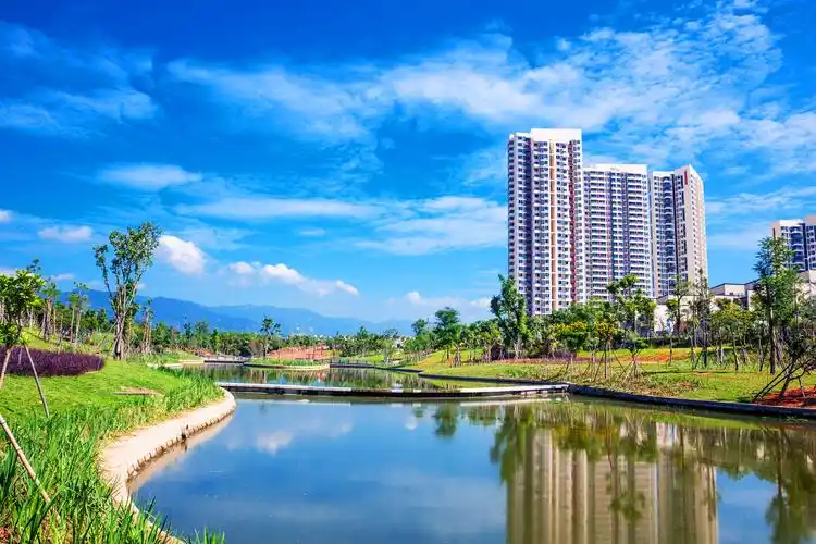 区域深耕,全国发展