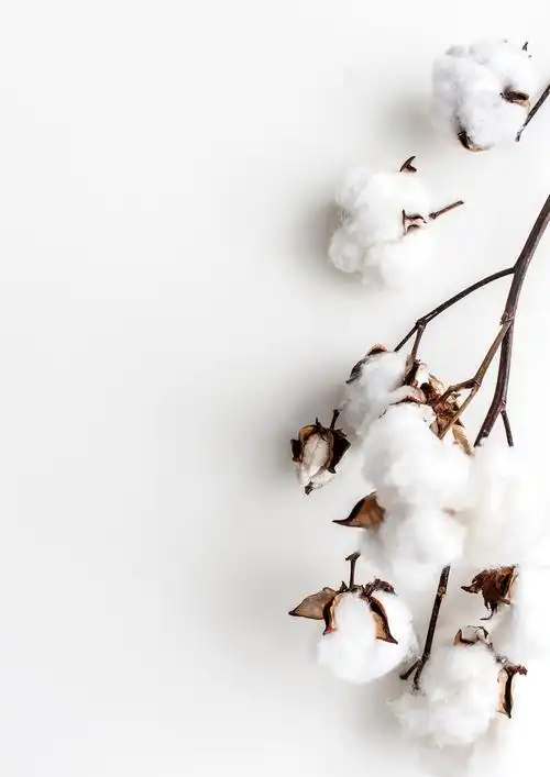 清新素雅背景图