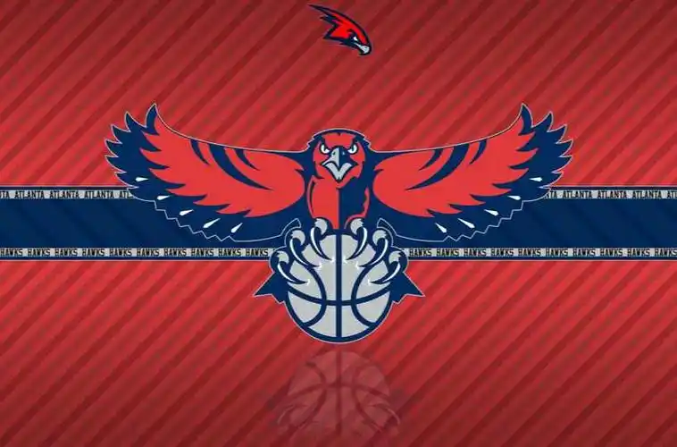 亚特兰大老鹰队