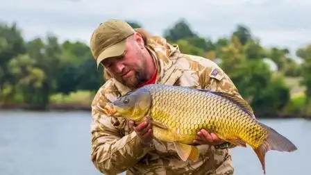 五大湖渔民叉鱼,这鲤鱼有点肥啊