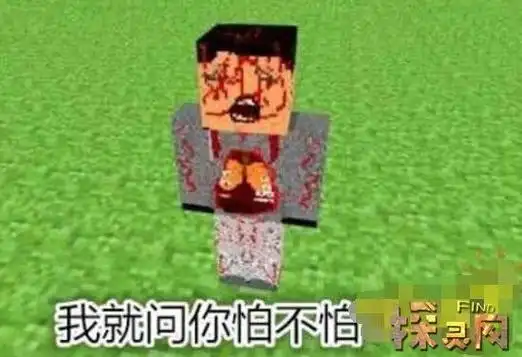 我的世界诡异事件死亡图片曝光玩家遭遇him被残忍杀害