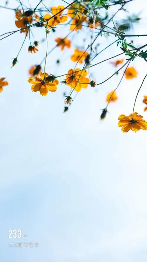 舒缓放松～开启一天好心情