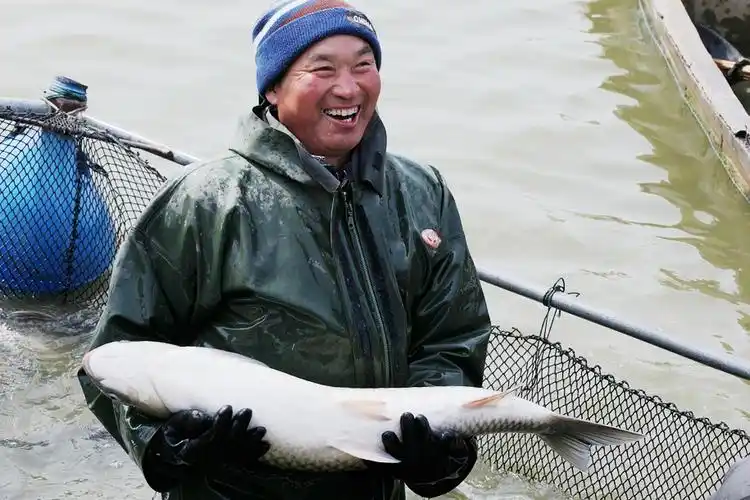 对于渔民来说,还有什么比看到丰收的鱼儿更开心呢!