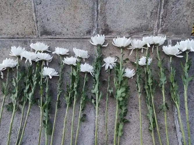 四月的清晨,春天的祭奠～～～芝罘支行团支部赴烟台山抗日英雄纪念碑