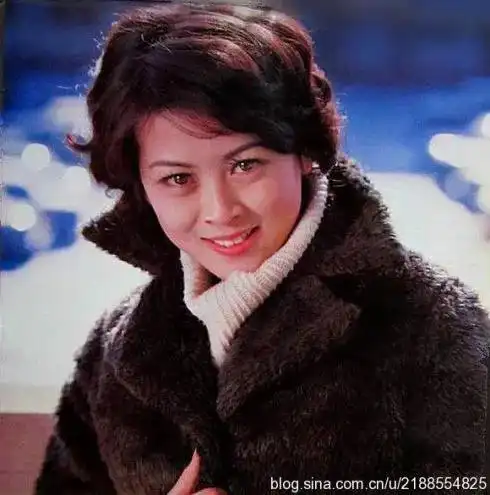 陈肖依20张精致的照片