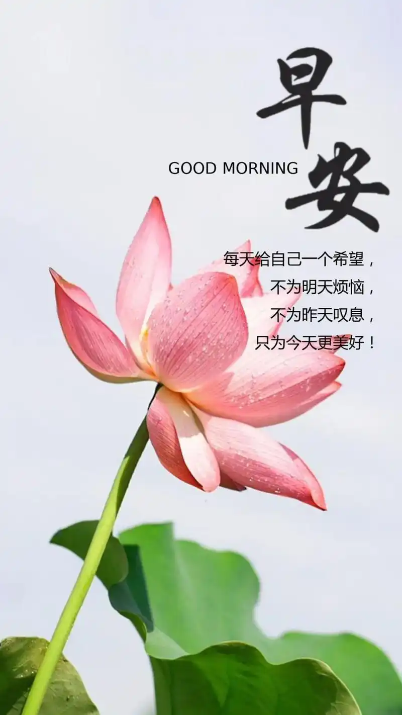 早安唯美人生励志箴言 励志前行早安正能量句子