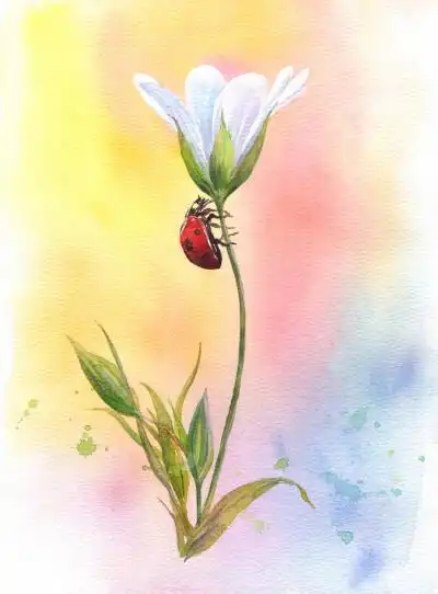 水彩,绘画,手绘,写实,写生,颜料,新手教程,水彩画入门,上色,初学者