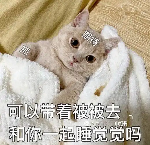 撩男朋友表情包