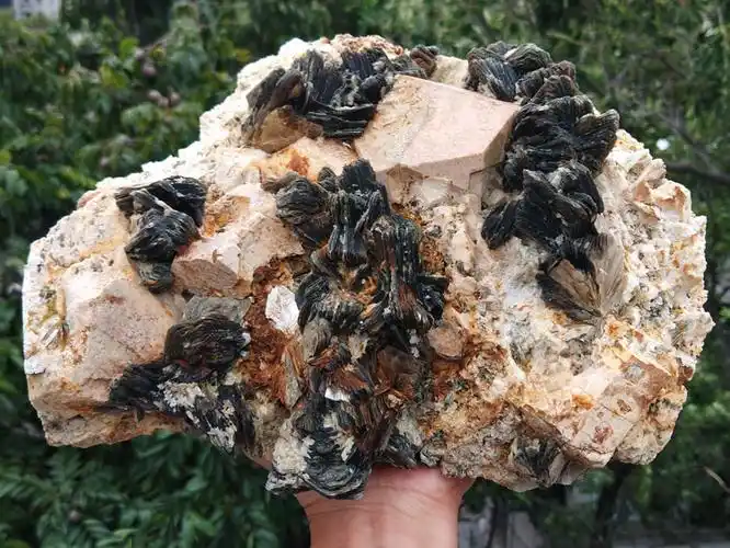 花状五角星云母矿微斜长石共生矿物标本晶体晶簇晶洞宝石原石原矿