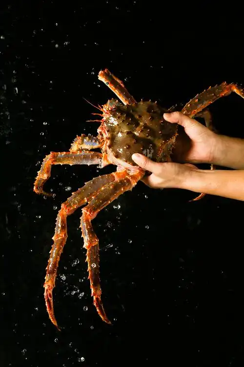 美食摄影丨一组生猛海鲜