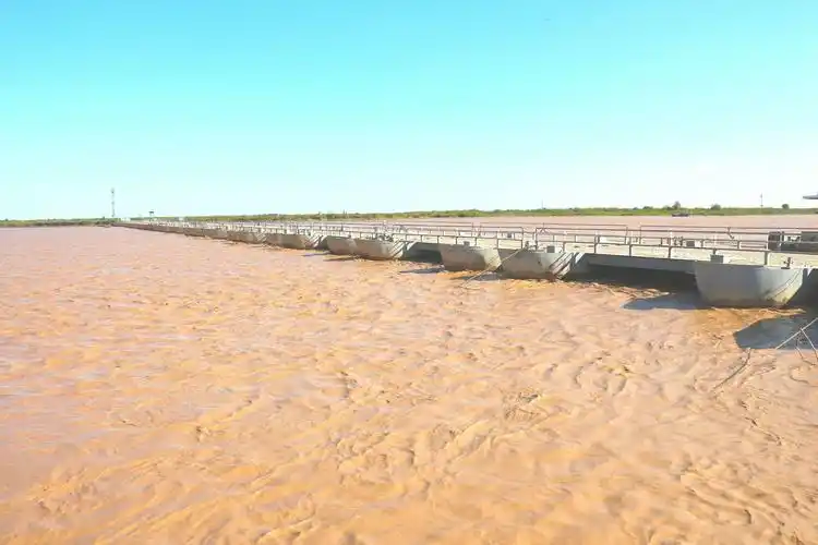 拜访黄河口 惬意心中留