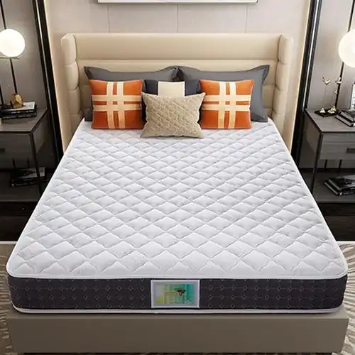 椰棕垫符象硬垫乳胶弹簧席梦思床垫18米加厚双人经济型经典系列