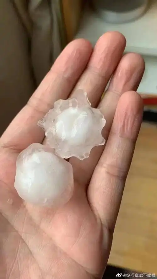 大家好我叫夏冰雹上海三黄两橙高挂