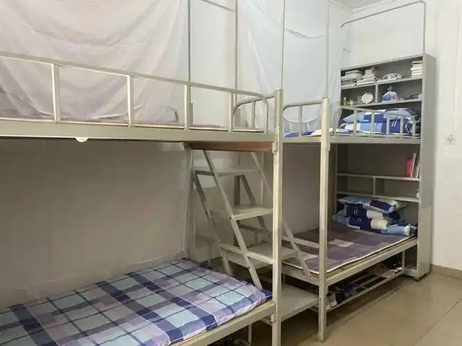 二中开放日透露了哪些新信息