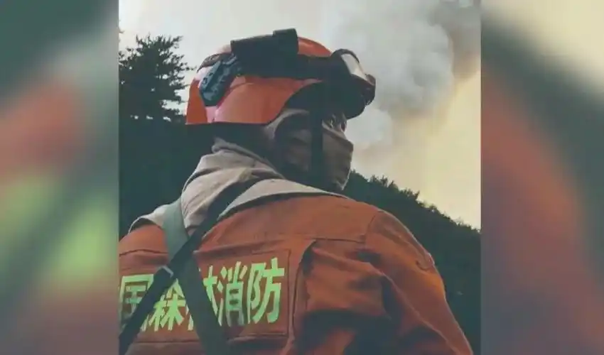 "中国森林消防"的坚毅背影就是那个印有张浩留给自己最后的画面妻子