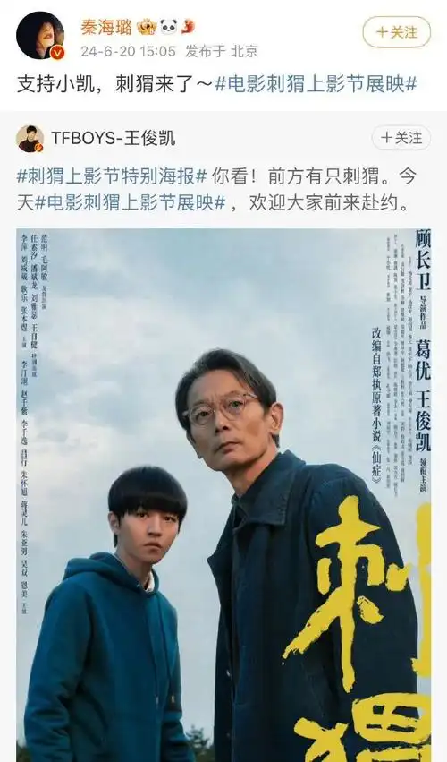 秦海璐给王俊凯新片打call