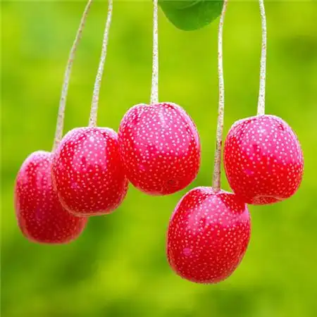 给人一种阳光的头像高清唯美阳光干净的微信头像图片