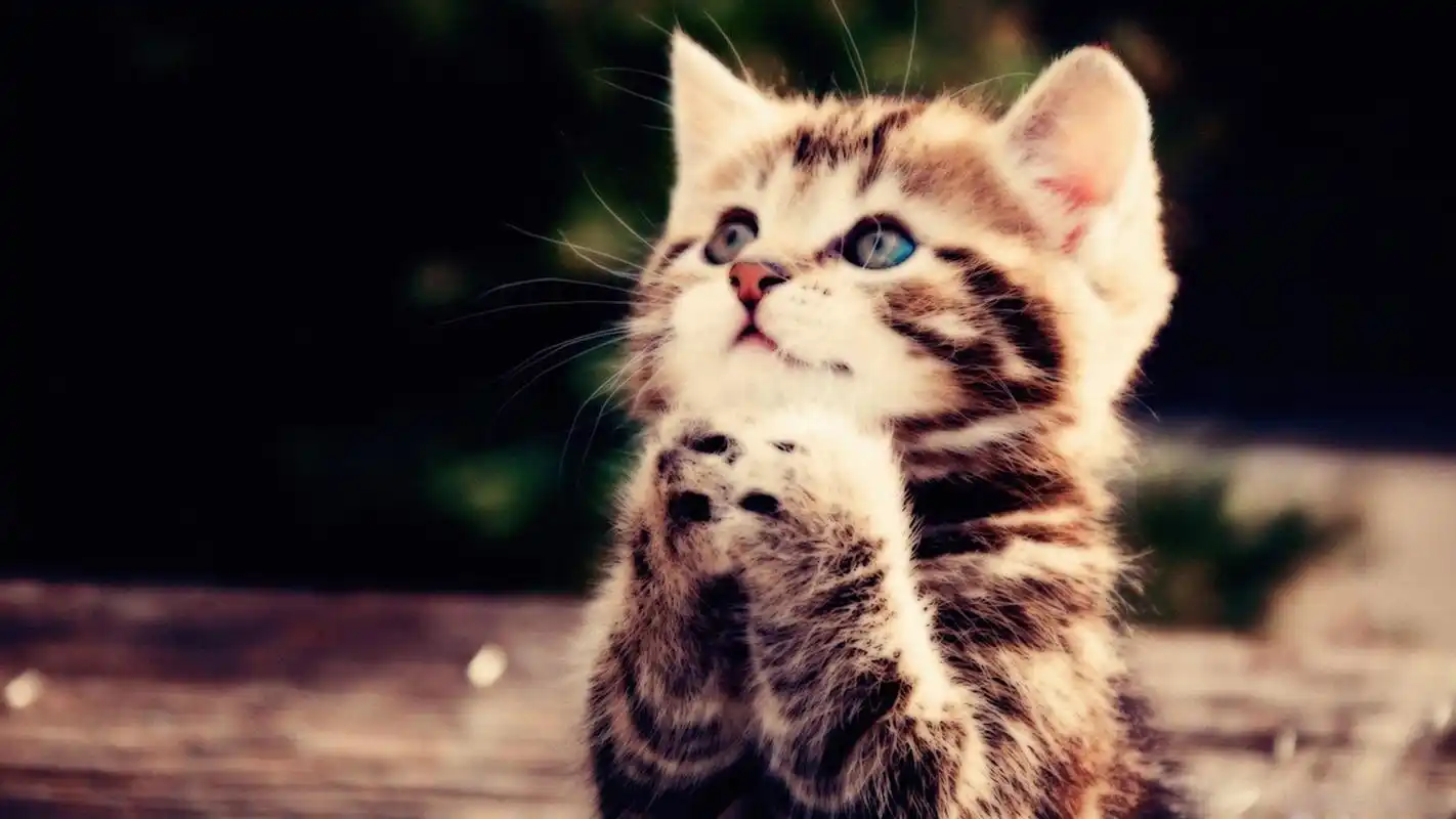 我是n线城市的蹲族不敢想未来