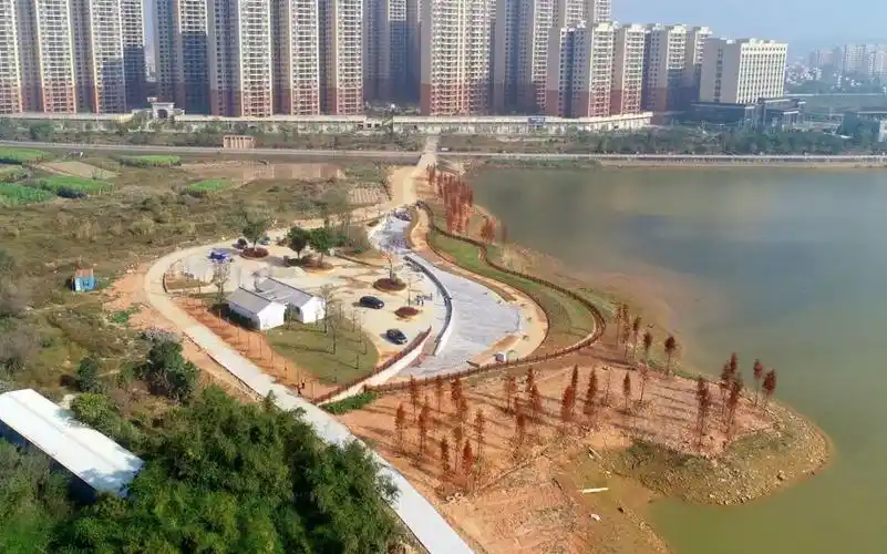 阳江阳西县水清岸绿景美昔日沿河荒地经过67一河两岸升级改造大变样