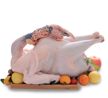 白条火鸡 整只新鲜