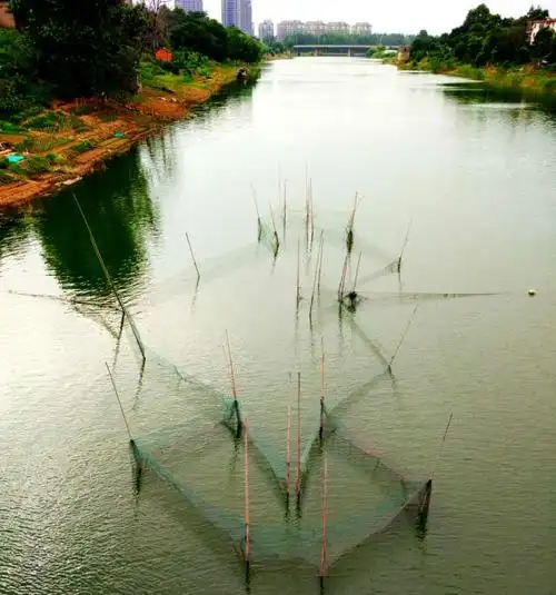 自动捕渔网~迷魂阵