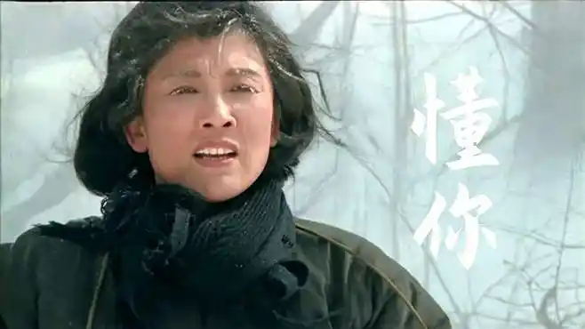 满文军成名曲《懂你》伤感好听,歌词感人至深,唱出了伟大的母爱-音乐