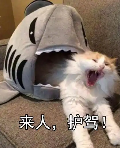 来人啊护驾护驾表情包素材gif动图表情