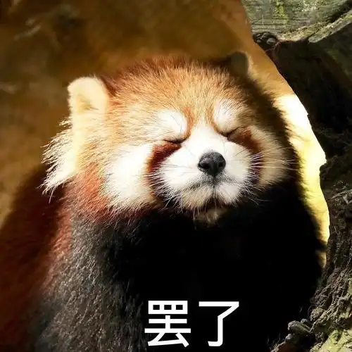 居然真的有这组6月17更新表情包77分享我的小熊猫嗷嗷公仔