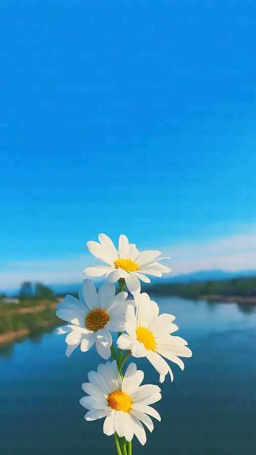 看美丽的风景让人心情愉悦