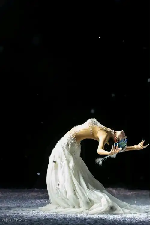 最美的舞者——杨丽萍